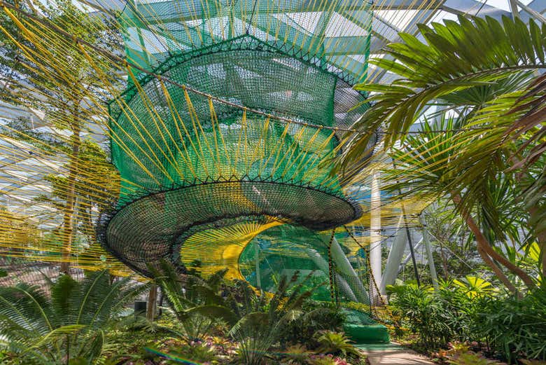 Redes del Canopy Park del aeropuerto de Singapur