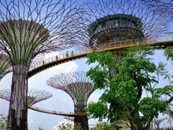 Gardens by the Bay